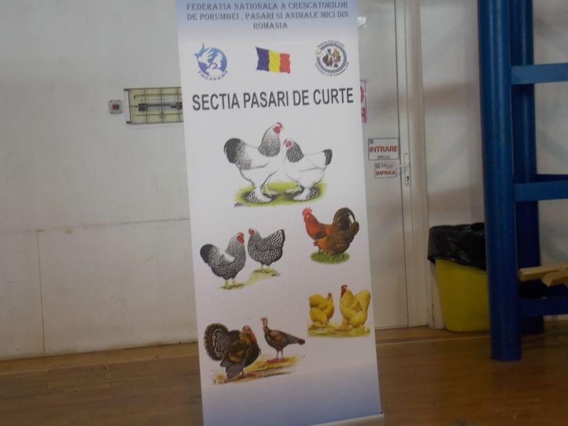  - EXPO-2018- HOBBY CENTRUM BRASOV