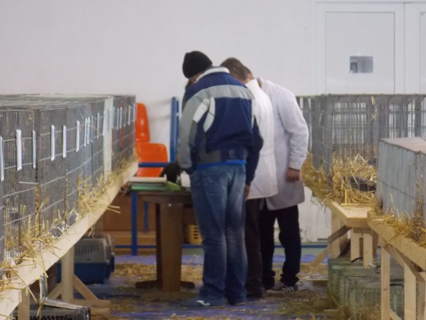  - EXPO-2018- HOBBY CENTRUM BRASOV