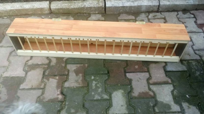 28207550_1986245714959596_512648208_o (2) - PRODUSE PORUMBEI-0725840353