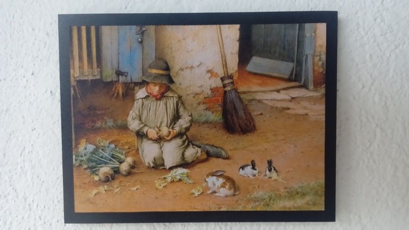 40 - Tablouri - viata la tara