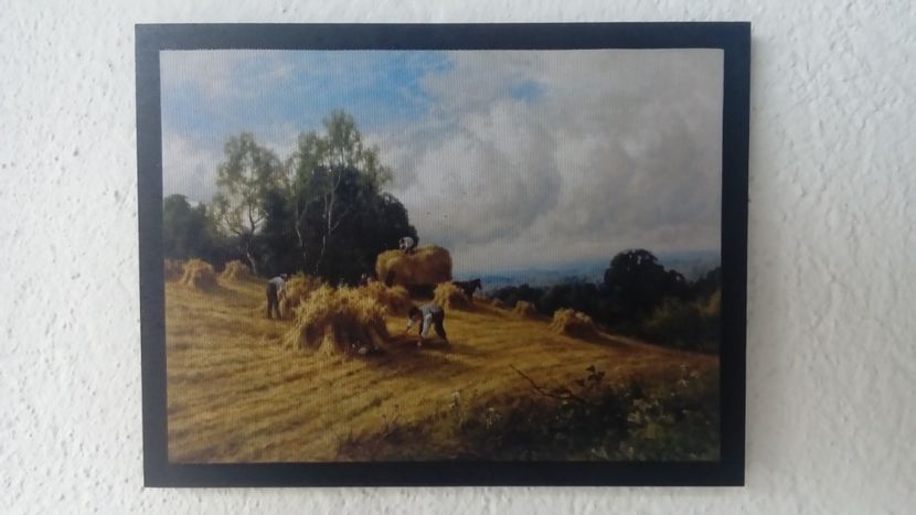 41 - Tablouri - viata la tara