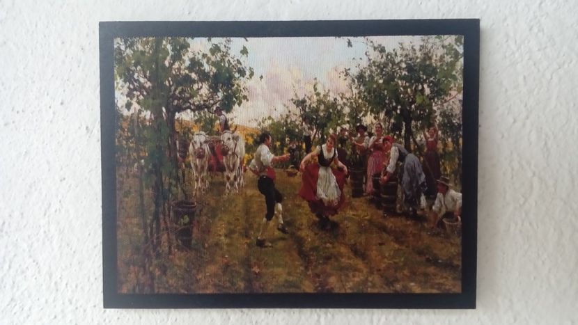 43 - Tablouri - viata la tara