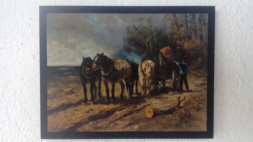 44 - Tablouri - viata la tara