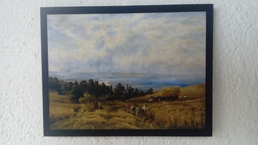 45 - Tablouri - viata la tara