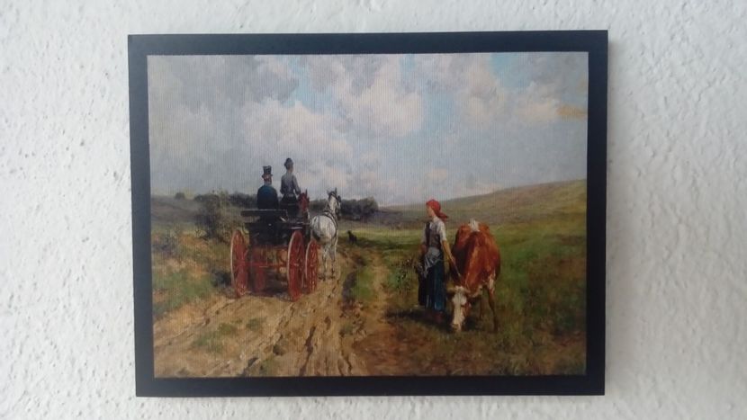 47 - Tablouri - viata la tara