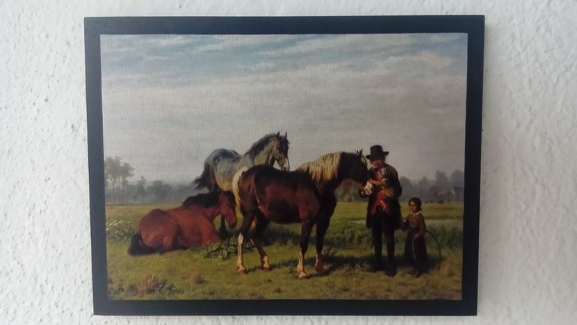 48 - Tablouri - viata la tara