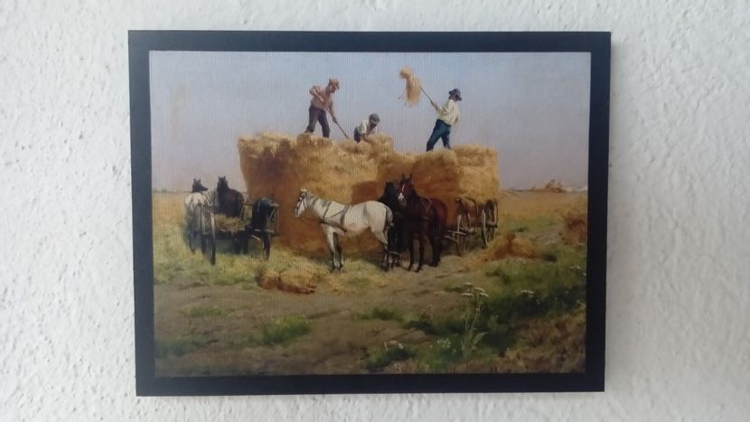 49 - Tablouri - viata la tara