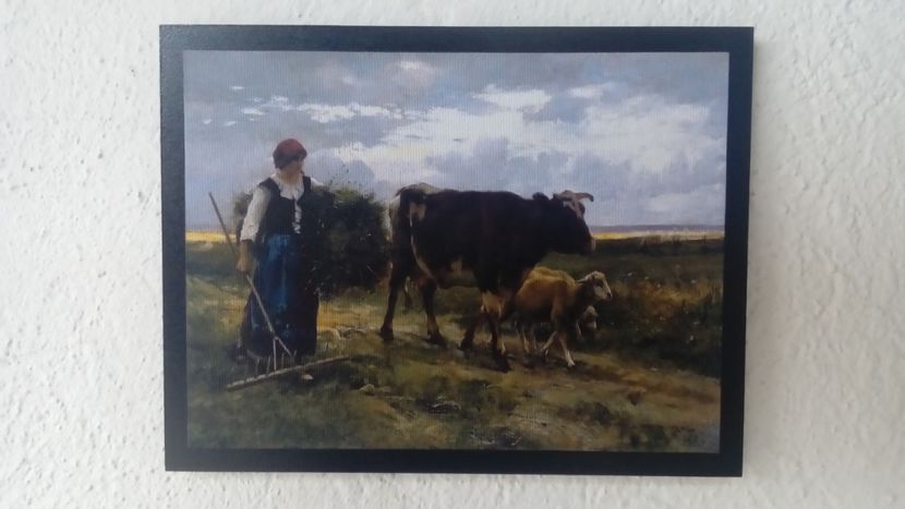 65 - Tablouri - viata la tara
