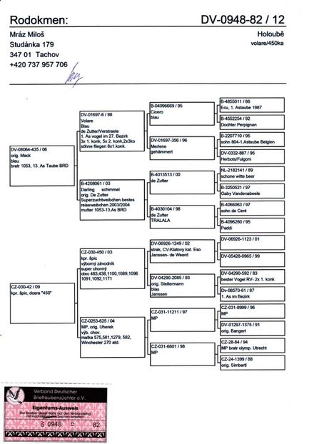 ped - Achizitii - 2018 - matca