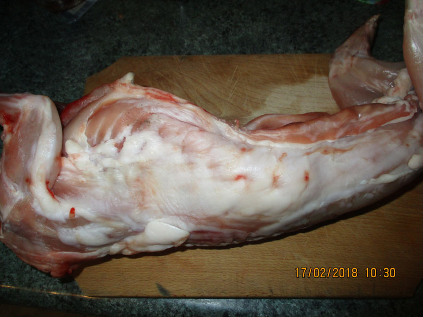 mascul de wienez albastru !!! - SACRIFICARI