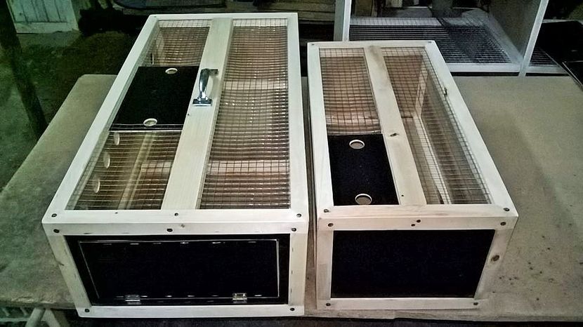 27971613_903333913181403_3911716194880436700_n (2) - PRODUSE PORUMBEI-0725840353