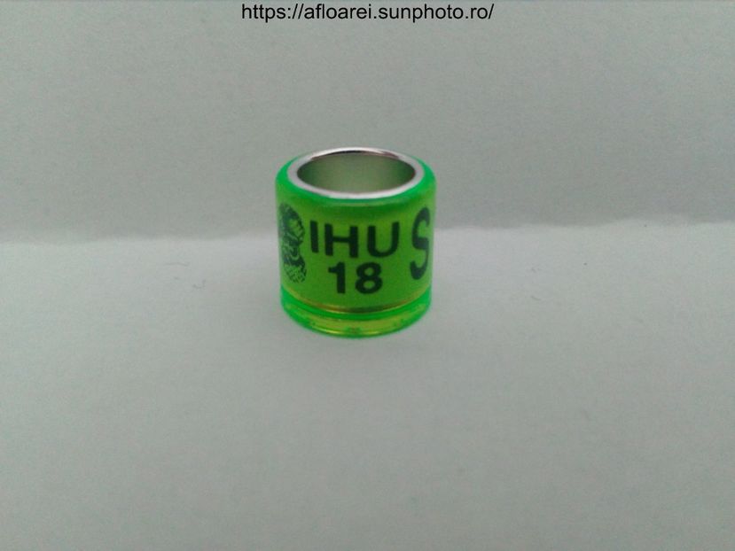 IHU 18 S - IRLANDA SUD