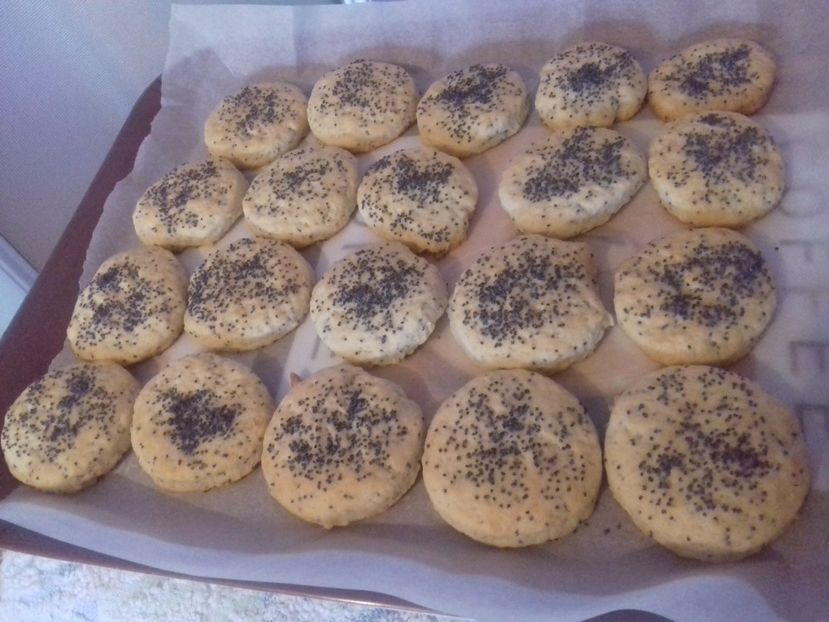 Biscuiți cu mac - Retete 1