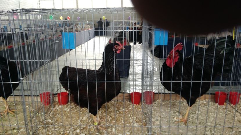 P_20180217_115102 - 2018