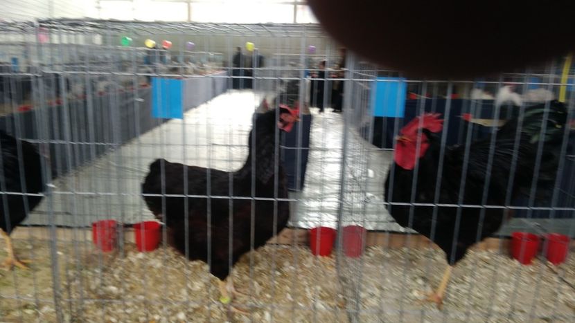 P_20180217_115100 - 2018