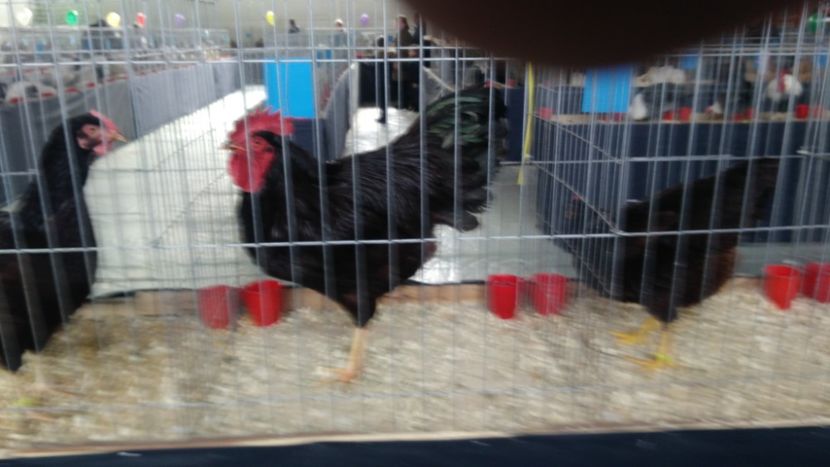 P_20180217_115056 - 2018