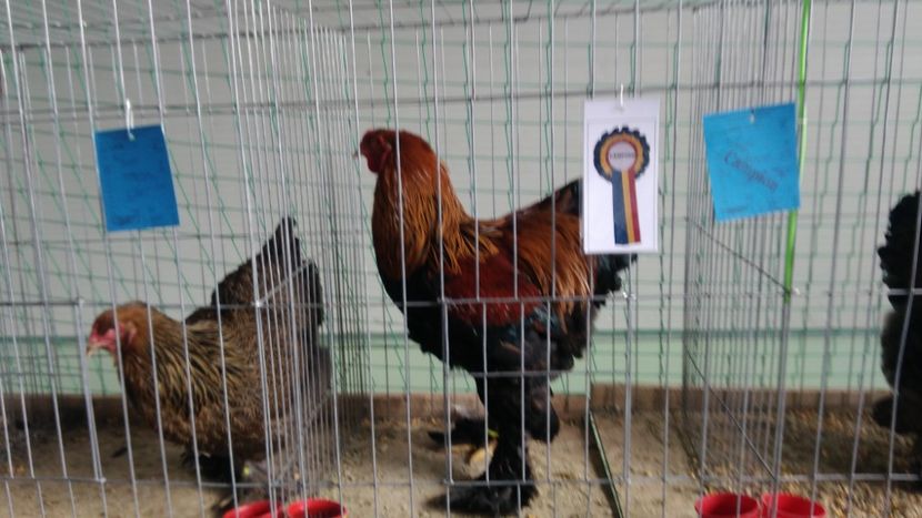 P_20180217_114943 - 2018