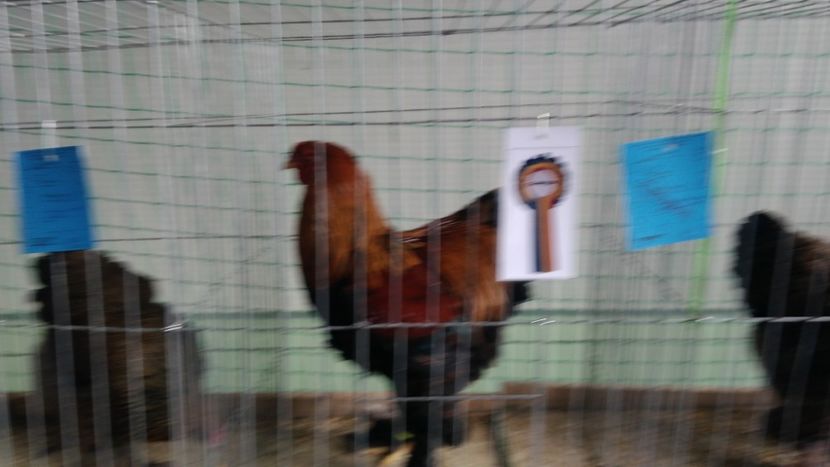 P_20180217_114939 - 2018