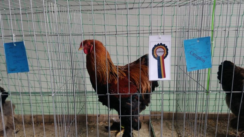 P_20180217_114937 - 2018