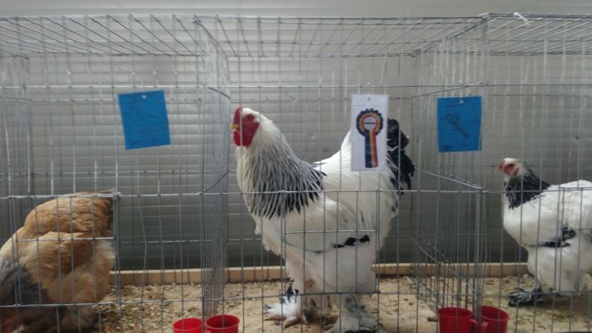 P_20180217_114819 - 2018