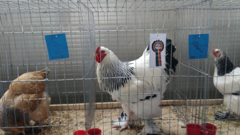 P_20180217_114811 - 2018