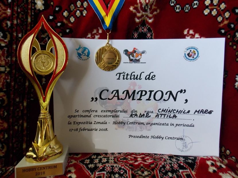  - ADRESA-CONTACT-0743706184