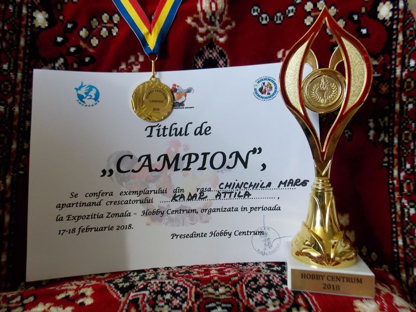  - ADRESA-CONTACT-0743706184