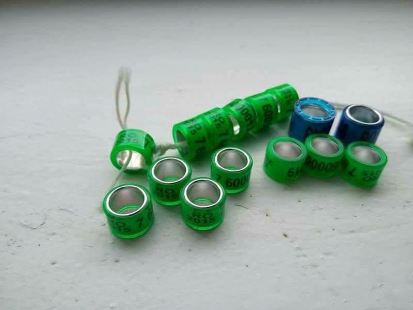  - INELE PORUMBEI 2018-80bani-0725840353-7mm-8-9-10-11-12mm