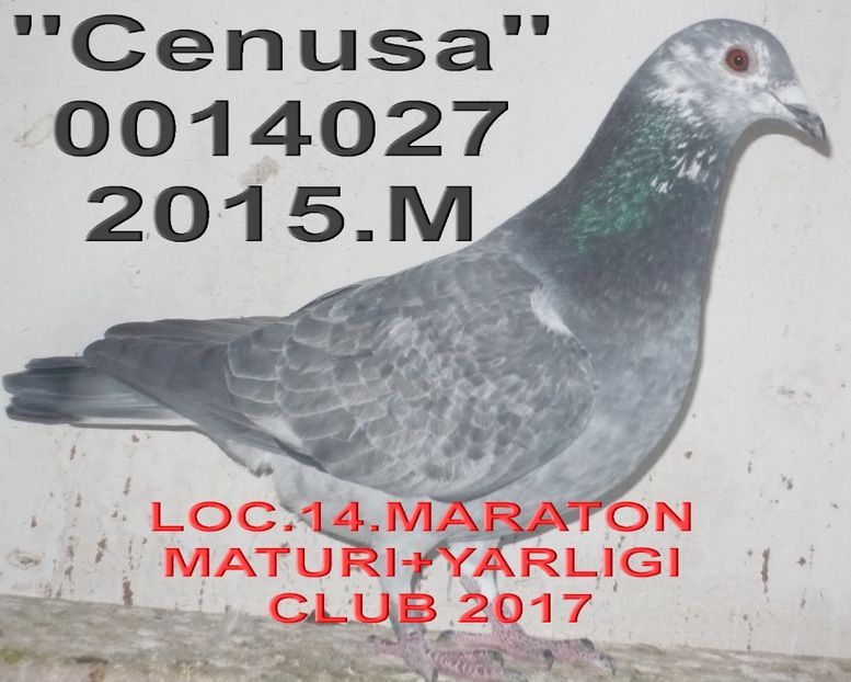  - 2 MATCA 2018 ZBURATORI
