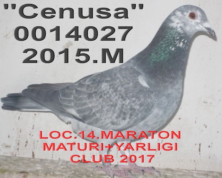  - 2 MATCA 2018 ZBURATORI