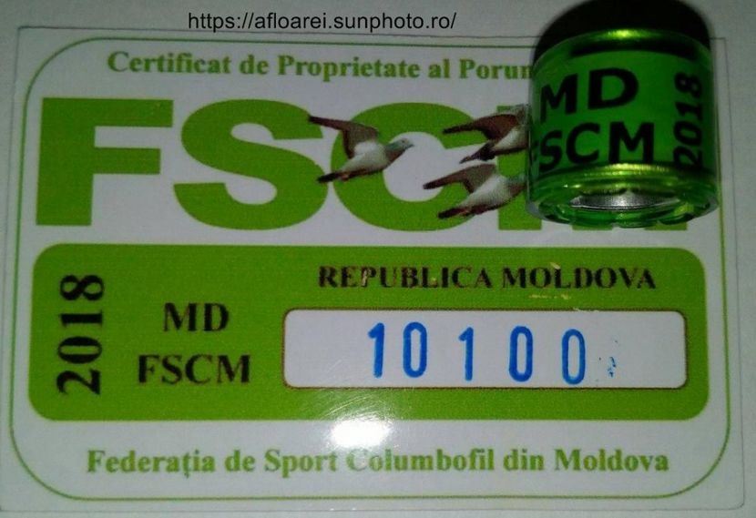 MD FSCM 2018 - MOLDOVA-MD