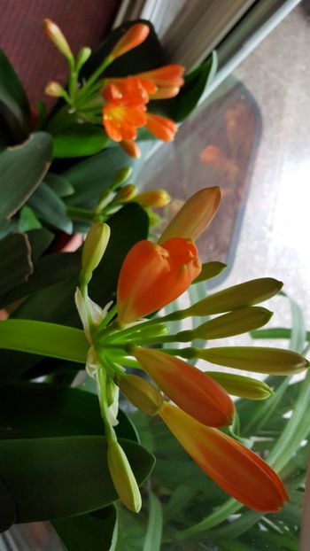  - Februarie