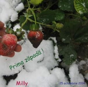 100697007_RMOOCEK - oferta primavara 2018