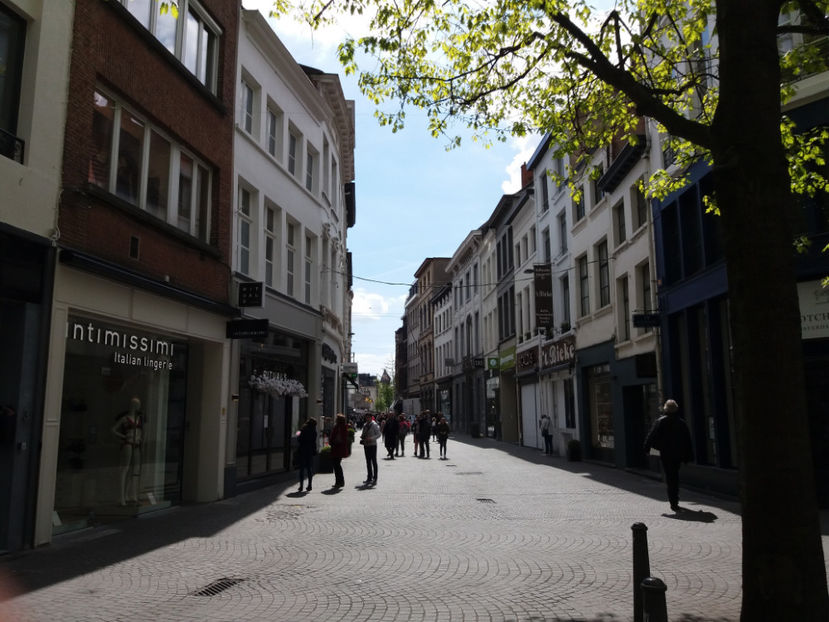 Picture 469 - Antwerpen-Belgia