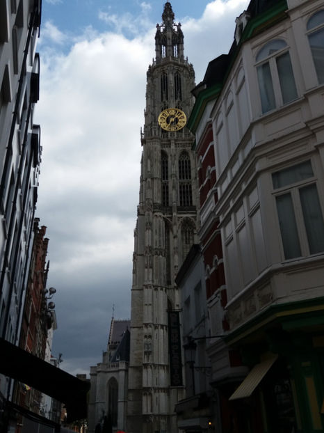 Picture 502 - Antwerpen-Belgia