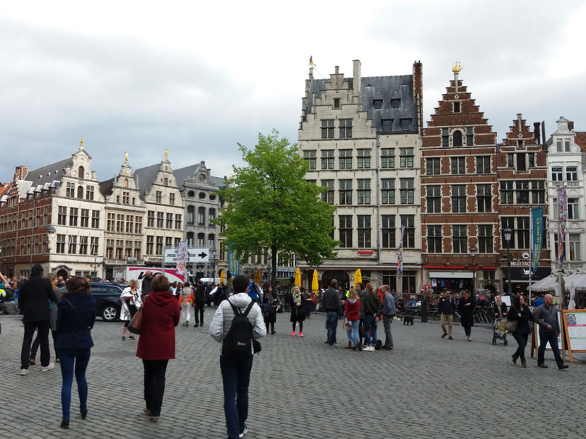 Picture 508 - Antwerpen-Belgia