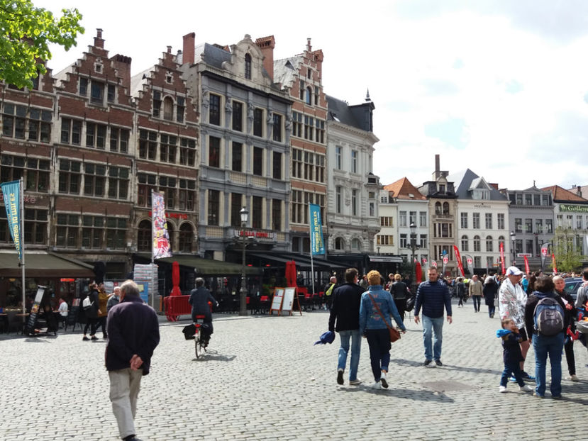 Picture 515 - Antwerpen-Belgia