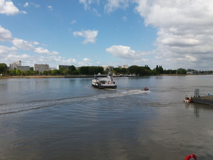 Picture 530 - Antwerpen-Belgia