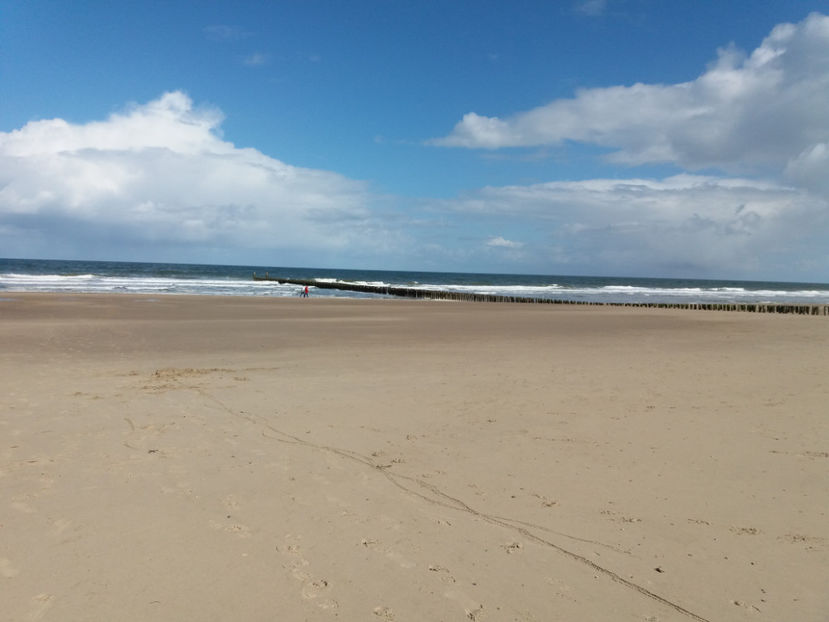 Picture 887 - Domburg-Olanda-Marea Nordului