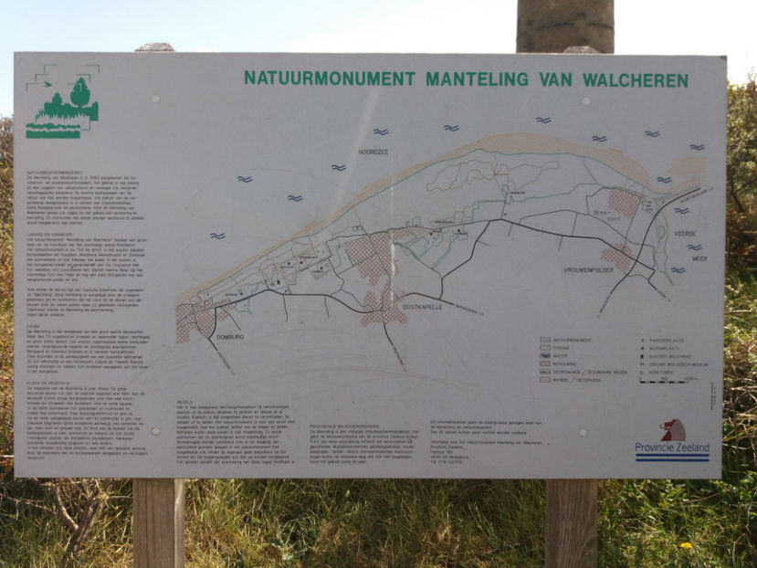 Picture 989 - Domburg-Olanda-Marea Nordului