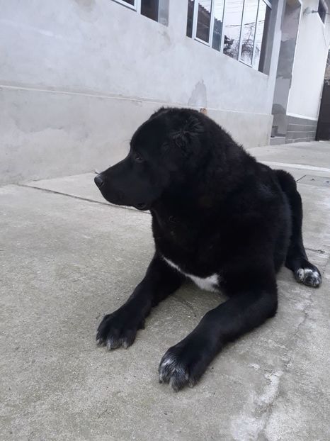 IMG-20180221-WA0002 - Igor