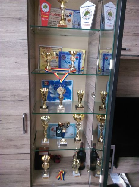  - rasplata munci mele