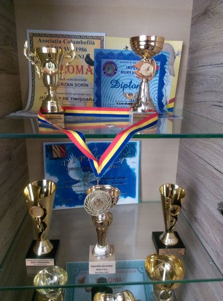  - rasplata munci mele