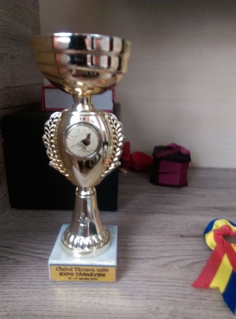  - rasplata munci mele