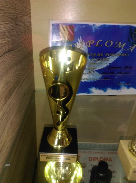  - rasplata munci mele