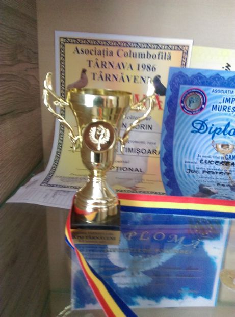  - rasplata munci mele