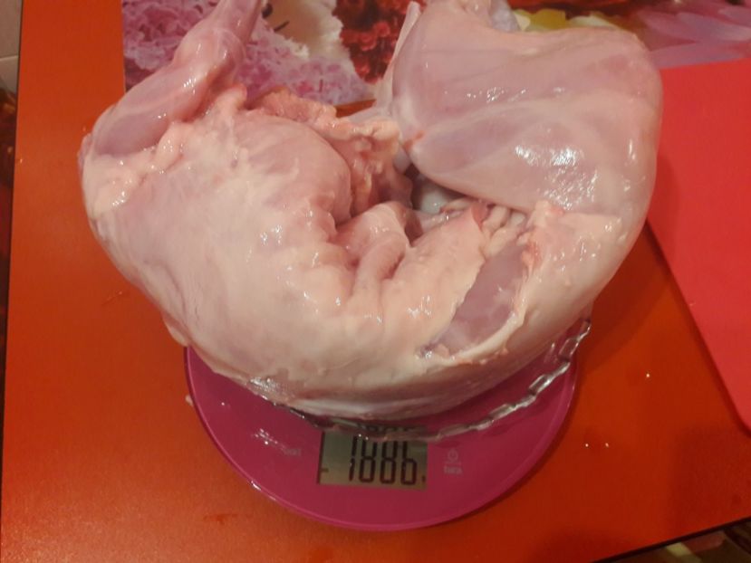  - Iepuri sacrificați 2018