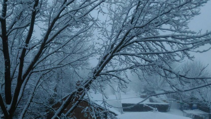 IMG-20180121-WA0000 - Livada 2018