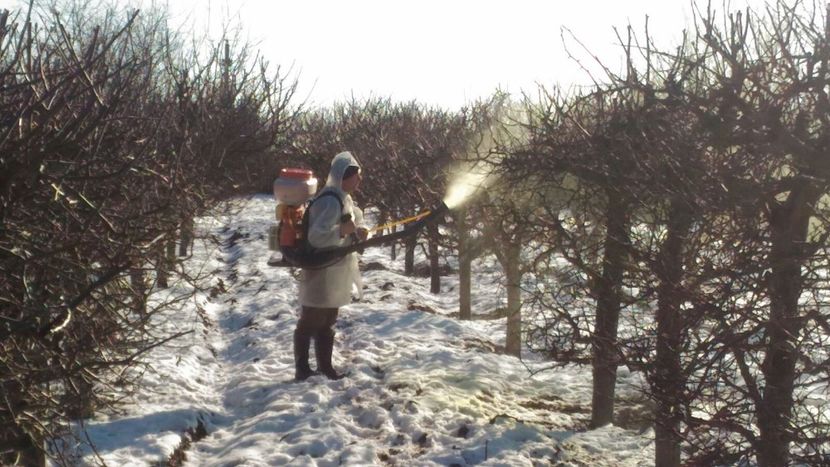 IMG-20180126-WA0003 - Livada 2018