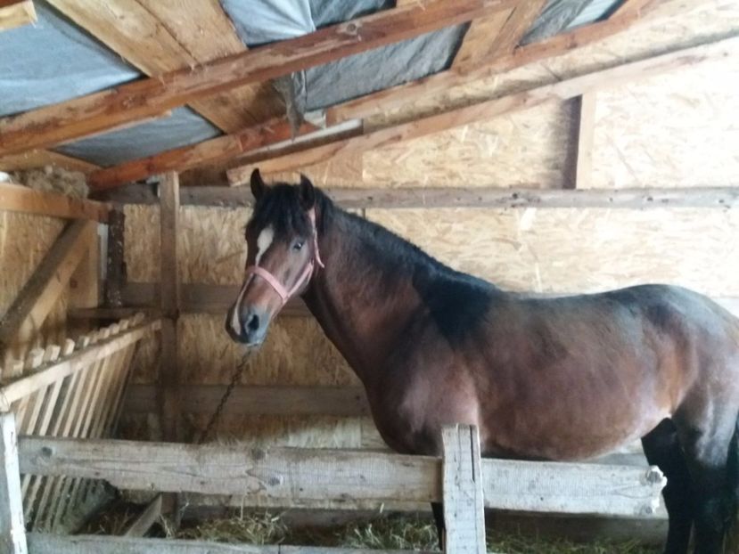 IMG-20180212-WA0002 - Arcan